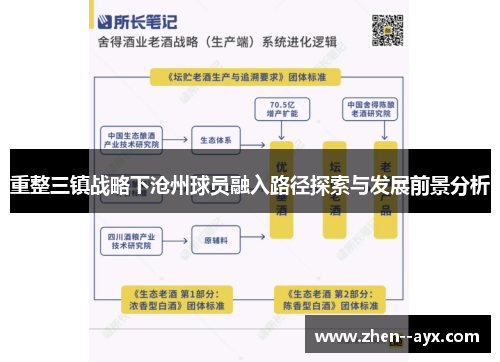 重整三镇战略下沧州球员融入路径探索与发展前景分析