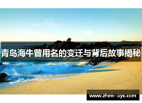 青岛海牛曾用名的变迁与背后故事揭秘