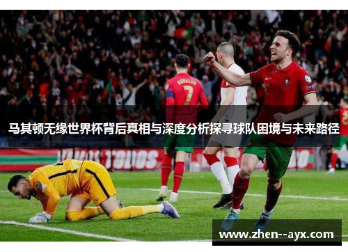 马其顿无缘世界杯背后真相与深度分析探寻球队困境与未来路径